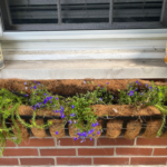 Indoor Plant Watering System