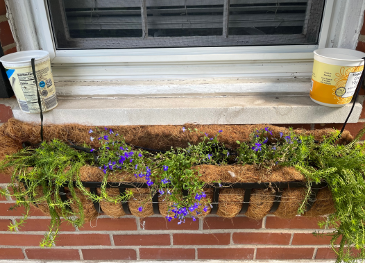 Indoor Plant Watering System